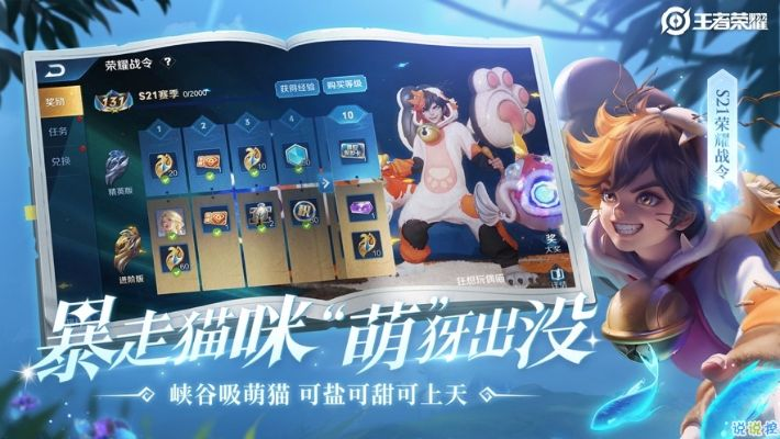 王者荣新版本,可持续实施探索|视频版_v8.522