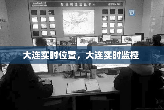 大连实时位置，大连实时监控 