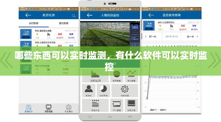哪些东西可以实时监测，有什么软件可以实时监控 