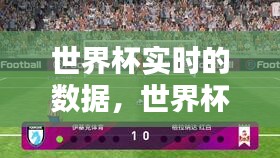 世界杯实时的数据，世界杯实况 