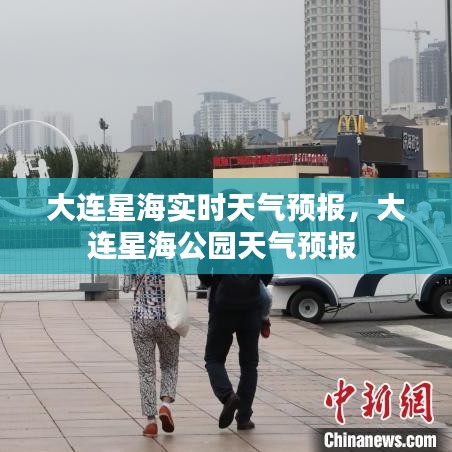 大连星海实时天气预报，大连星海公园天气预报 