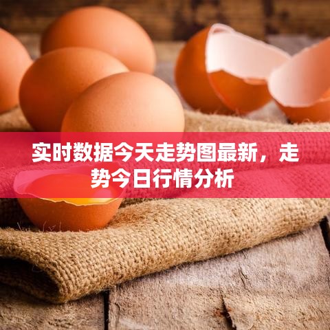 实时数据今天走势图最新，走势今日行情分析 
