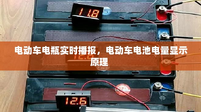 第1628页