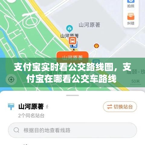 支付宝实时看公交路线图，支付宝在哪看公交车路线 