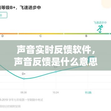 声音实时反馈软件，声音反馈是什么意思 