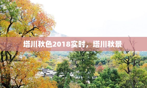 高人雅士 第4页