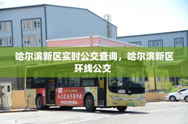 哈尔滨新区实时公交查询，哈尔滨新区环线公交 