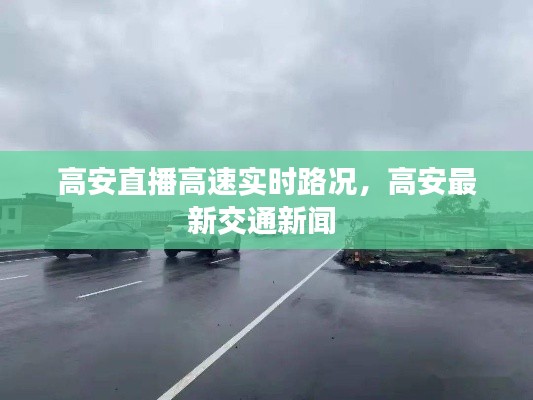 鸟面鹄形 第3页