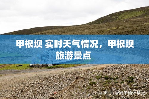 越鸟南栖 第3页
