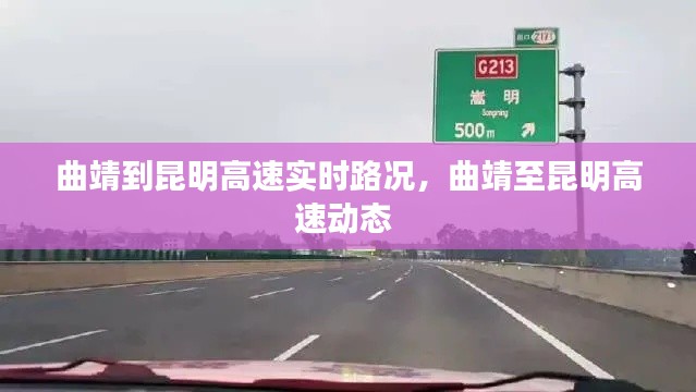 束手就禽 第3页