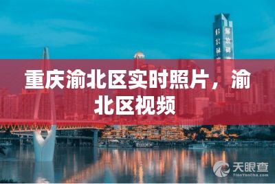 技术研发 第192页