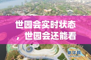 自作主张 第4页