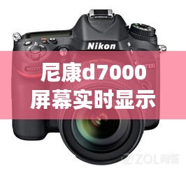 尼康d7000屏幕实时显示，尼康d750实时显示 