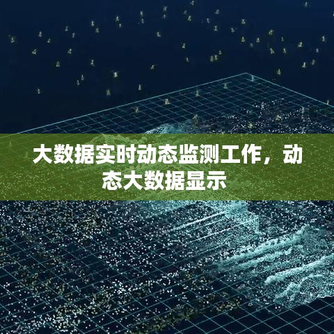 大数据实时动态监测工作，动态大数据显示 