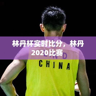 林丹杯实时比分，林丹2020比赛 
