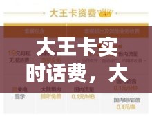 大王卡实时话费，大王卡的实时话费 