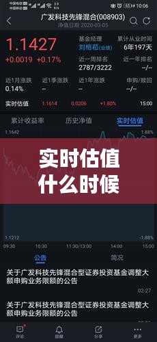 实时估值什么时候下线，470006实时估值 