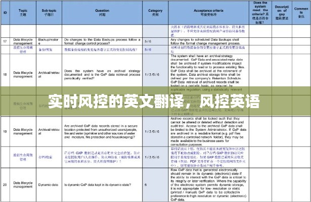 实时风控的英文翻译，风控英语 