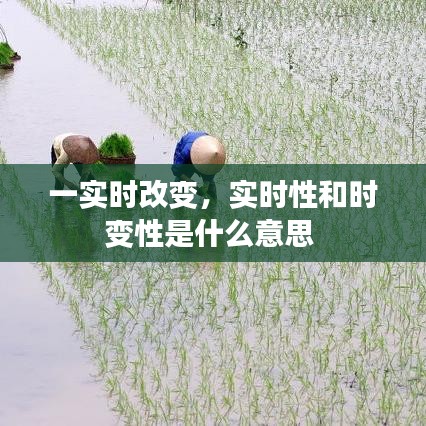 一实时改变，实时性和时变性是什么意思 