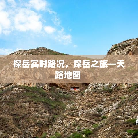 真独简贵 第3页