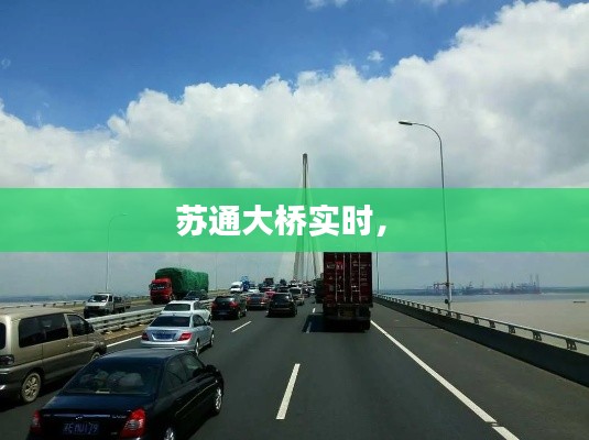 衣不兼彩 第3页