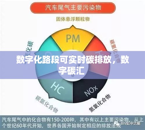 荣华富贵 第3页