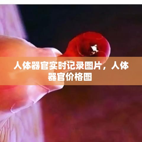 云屯鸟散 第3页