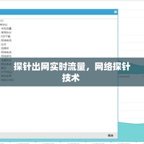 探针出网实时流量，网络探针技术 