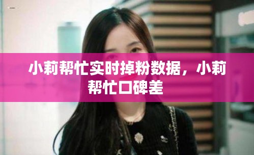 小莉帮忙实时掉粉数据，小莉帮忙口碑差 