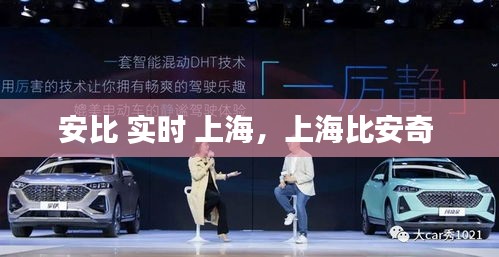 安比 实时 上海，上海比安奇 