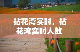 拈花湾实时，拈花湾实时人数 