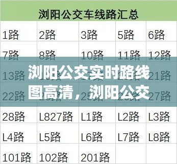 浏阳公交实时路线图高清，浏阳公交时间查询 