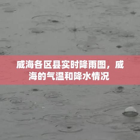 威海各区县实时降雨图，威海的气温和降水情况 