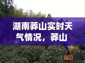 湖南莽山实时天气情况，莽山 天气 