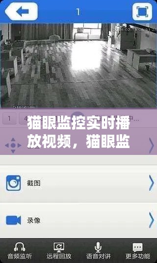 猫眼监控实时播放视频，猫眼监控软件 