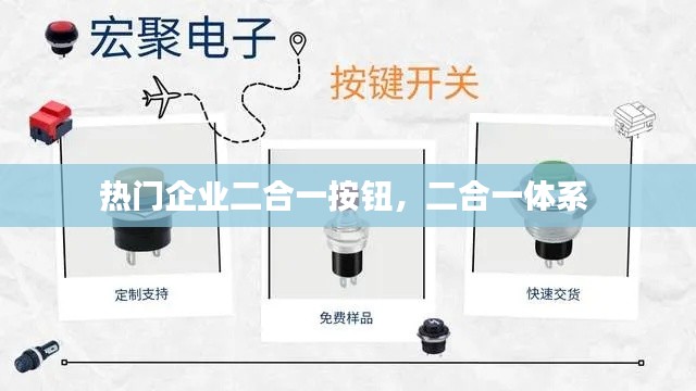 热门企业二合一按钮，二合一体系 