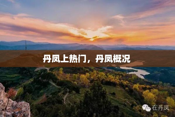 丹凤上热门，丹凤概况 