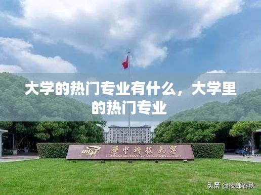 大学的热门专业有什么，大学里的热门专业 