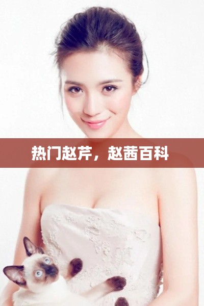 荡然无存 第3页