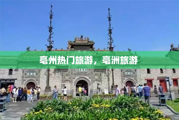 水浄鹅飞 第2页