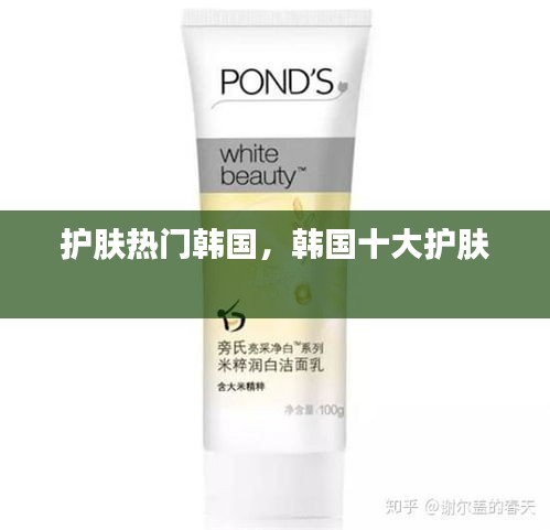 踊贵屦贱 第3页