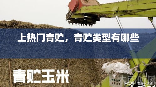 衣无二彩 第3页
