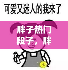 胖子热门段子，胖子语录搞笑 