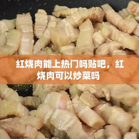 红烧肉能上热门吗贴吧，红烧肉可以炒菜吗 