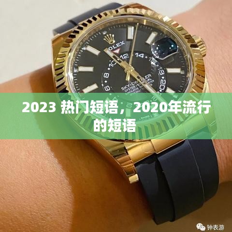 2023 热门短语，2020年流行的短语 