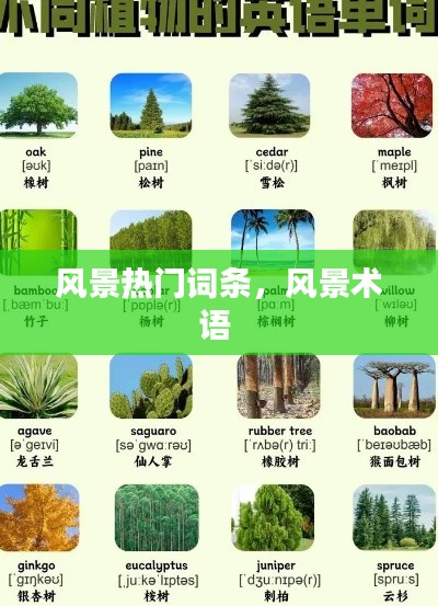 风景热门词条，风景术语 