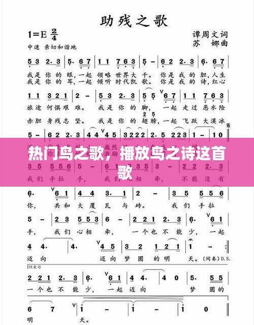 热门鸟之歌，播放鸟之诗这首歌 