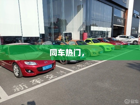 张张屈屈 第3页