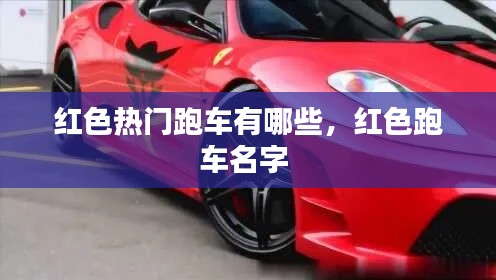 打张鸡儿 第3页