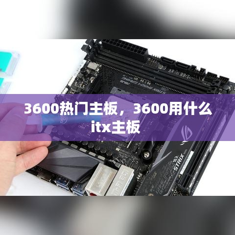 彬彬有礼